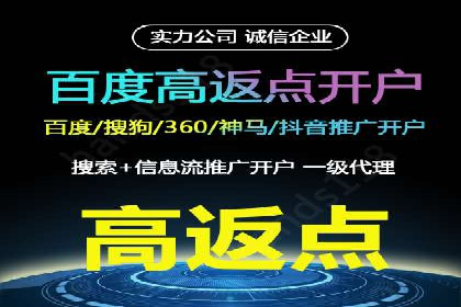 百度竞价推广运营实战技巧与经典案例剖析