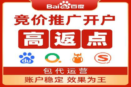 竞价托管服务案例解析